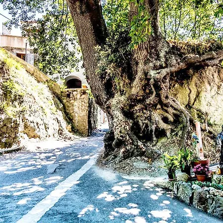 La Panoramica * Barano dʼIschia